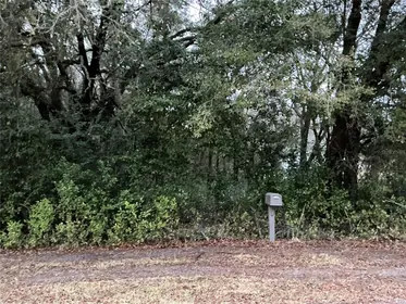 SUMMERFIELD FL Property