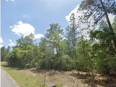 DUNNELLON FL Property