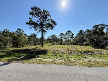 OCKLAWAHA FL Property