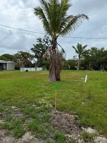 BRADENTON FL Property