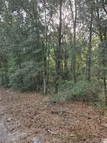 CITRA FL Property