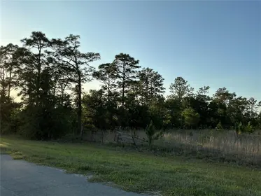 ORLANDO FL Property