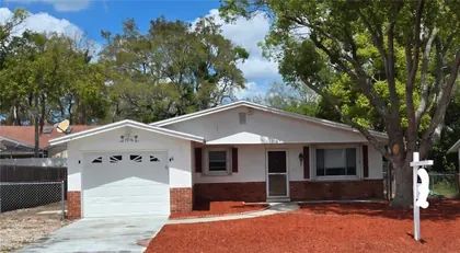 TARPON SPRINGS FL Home