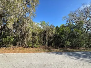 LAKE PANASOFFKEE FL Property