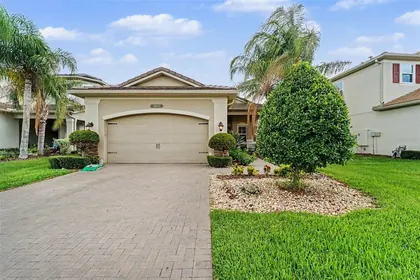 WESLEY CHAPEL FL Home