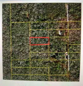 CRYSTAL RIVER FL Property