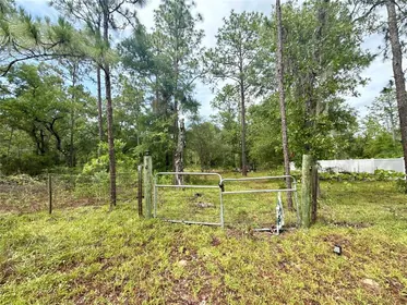 WILLISTON FL Property
