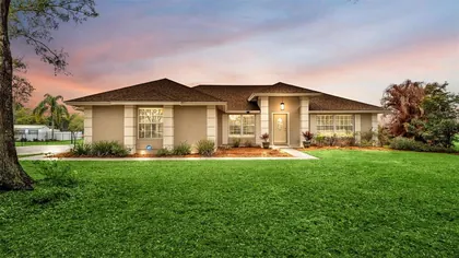 MOUNT DORA FL Home