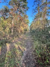DELAND FL Property