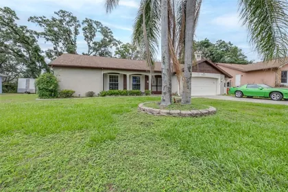 SPRING HILL FL Home