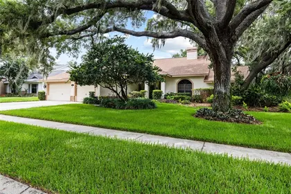 VALRICO FL Home