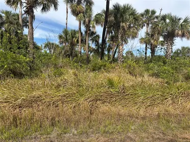 NORTH PORT FL Property