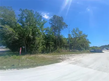 BUNNELL FL Property
