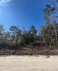 MORRISTON FL Property