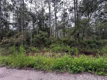 CITRA FL Property