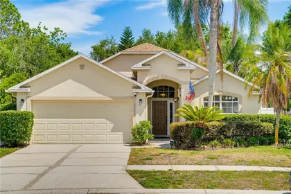 TAMPA FL Home