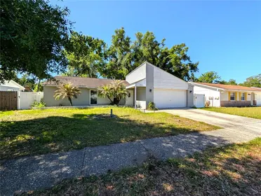 BRANDON FL Home