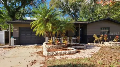 CLEARWATER FL Home