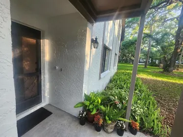 SAFETY HARBOR FL Home