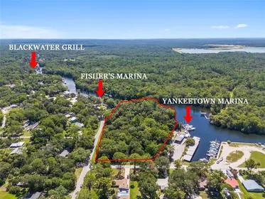 YANKEETOWN FL Property