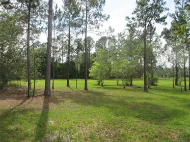 SILVER SPRINGS FL Property