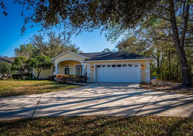 LUTZ FL Home