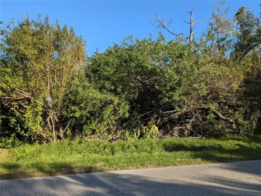 PORT CHARLOTTE FL Property