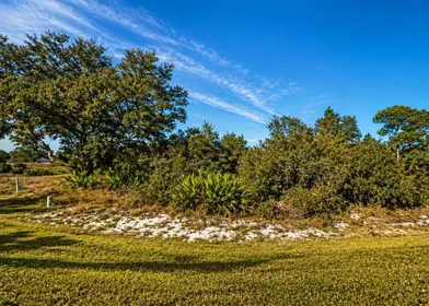 KISSIMMEE FL Property