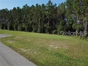 UMATILLA FL Property