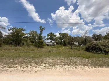 WEEKI WACHEE FL Property