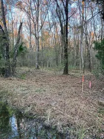 HASTINGS FL Property