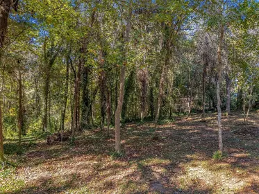 TALLAHASSEE FL Property