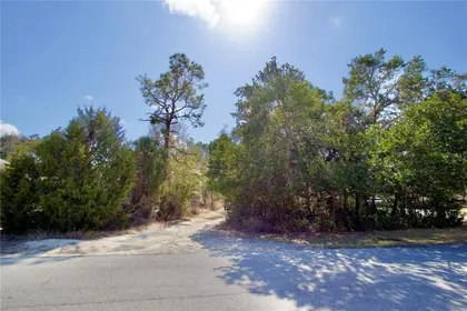 WEEKI WACHEE FL Property