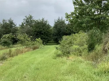 APOPKA FL Property
