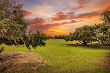 LITHIA FL Property
