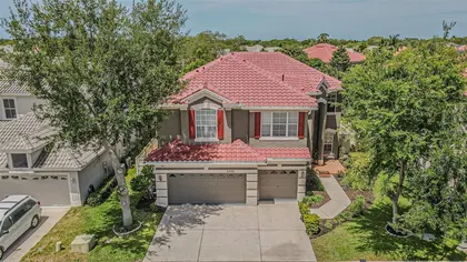 DUNEDIN FL Home
