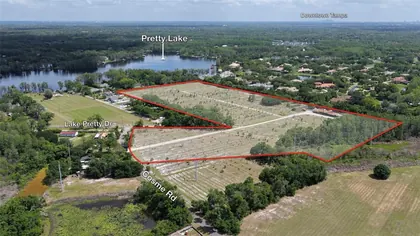 ODESSA FL Property