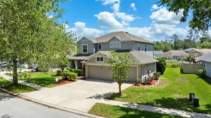 LAND O LAKES FL Home