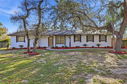 TEMPLE TERRACE FL Home