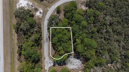 KISSIMMEE FL Property
