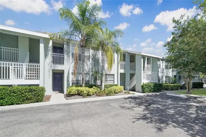 TAMPA FL Home