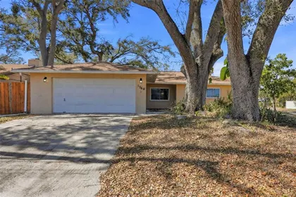 ST PETERSBURG FL Home