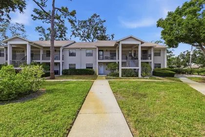 DUNEDIN FL Home