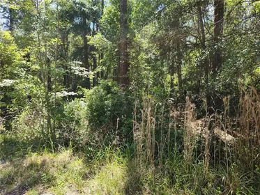 CITRA FL Property
