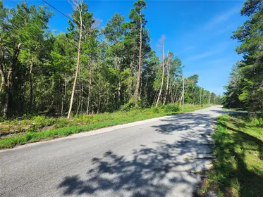 OCKLAWAHA FL Property