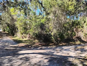 DELAND FL Property