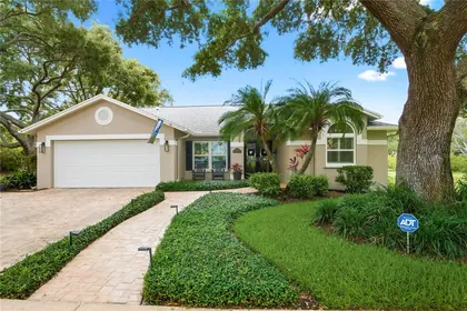 SAFETY HARBOR FL Home