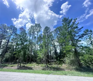 GEORGETOWN FL Property