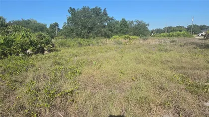 AVON PARK FL Property