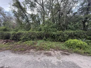 NEW PORT RICHEY FL Property